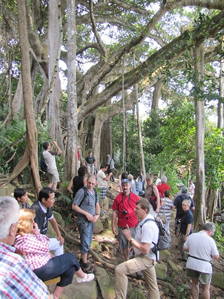 Một ngày ở bán đảo Sơn Trà