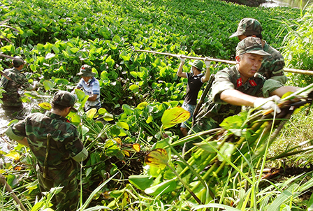 Trên 1.000 đoàn viên thanh niên tham gia công trình thanh niên