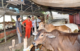 Nhiều chuyển biến trên các lĩnh vực