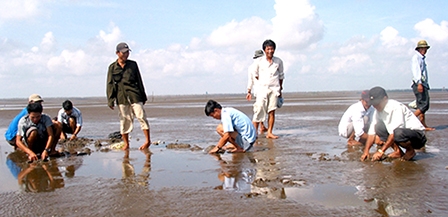 Gò Công phát triển du lịch sinh thái