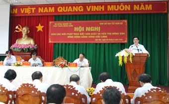 Tận dụng tốt thời cơ thuận lợi về thị trường, 
thúc đẩy sản xuất giúp nông dân tăng thu nhập