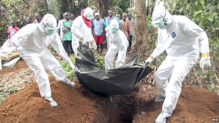 Liberia và Nigeria ban bố 
tình trạng khẩn cấp vì dịch Ebola