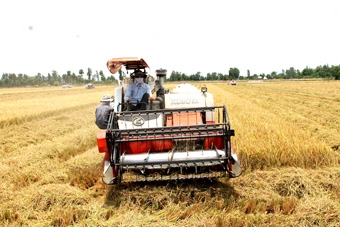 Phải nâng cao chất lượng 
các loại nông sản