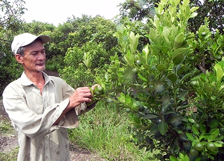 Làm để dân quý, dân tin