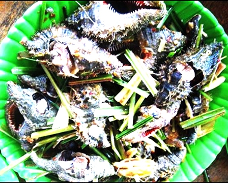 Ốc lông Sông Cầu