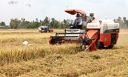 Nông dân và doanh nghiệp
vẫn khó tiếp cận các chính sách hỗ trợ