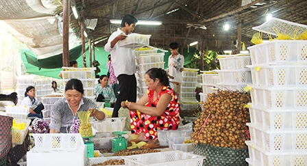 Nhãn tiêu da bò tăng giá nhẹ
