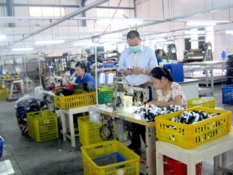 Nhiều giải pháp hỗ trợ doanh nghiệp xuất khẩu