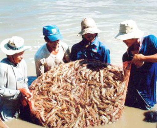 កសិករ​ខេត្ត​បាក​លីវ​ធ្វើ​មាន​ដោយ​សម​ហេតុ​សម​ផល