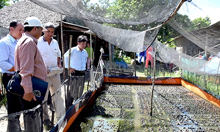 Phát triển sản xuất tạo nguồn lực
xây dựng nông thôn mới