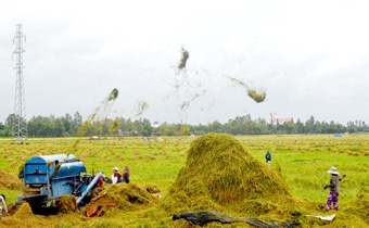 ĐỔI MỚI TOÀN DIỆN
NÔNG NGHIỆP, NÔNG THÔN