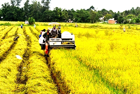 Đổi mới toàn diện nông nghiệp, nông thôn