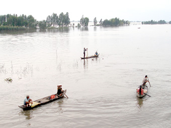 Cá mùa lũ ở An Giang