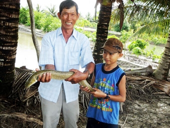 Bảy Ánh “cá chình”