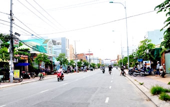 Lãnh đạo thực hiện tốt nghị quyết nhiệm kỳ 2010-2015