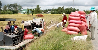Nỗ lực thực hiện các chỉ tiêu 
kinh tế -xã hội
