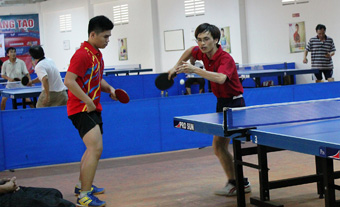 Hẩm hiu bóng bàn Cần Thơ