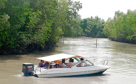 Đến với đất mũi Cà Mau