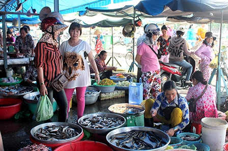 TP Cần Thơ:
Giá nhiều loại thủy sản ở mức cao