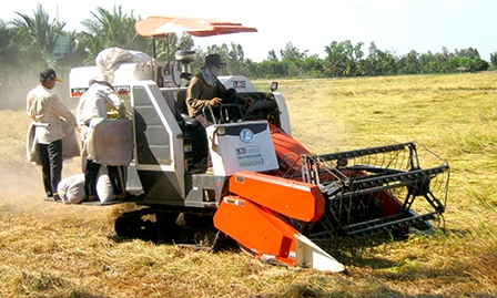 Vạch lộ trình 
cho cơ giới hóa nông nghiệp