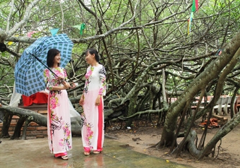 Cuộc thi sáng tác âm nhạc ngợi ca quê hương Phong Điền