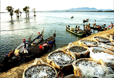 Mối đe dọa từ các đập thủy điện 
thượng nguồn sông Mê Công đến ĐBSCL