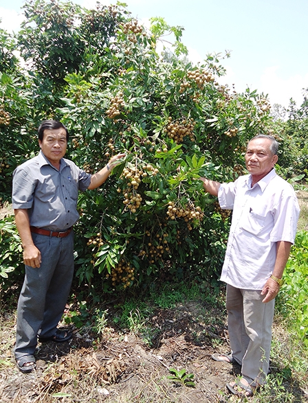 Đoàn kết giúp nhau vươn lên no ấm