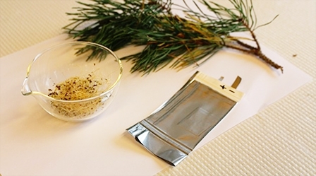 Pin hữu cơ thân thiện 

môi trường từ thực vật