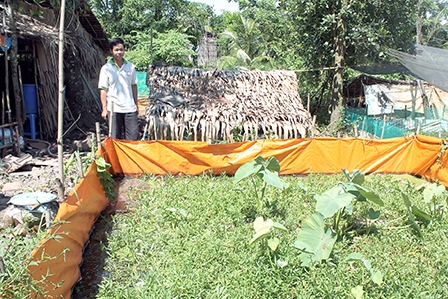 CỜ ĐỎ:
Cải thiện thu nhập nông hộ 
từ sản xuất đa canh