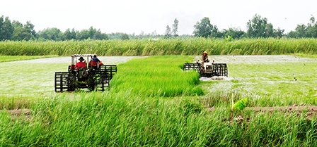 Có dấu hiệu bất thường trong 
chi hỗ trợ sản xuất lúa