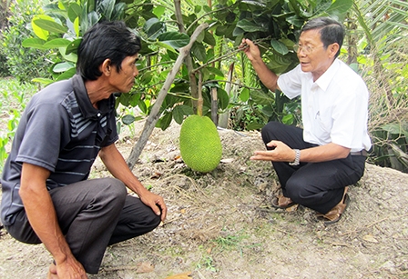 Chú Tư nghĩa tình
