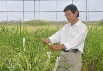 Công trình nhận giải thưởng quốc tế