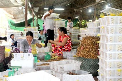 Giảm phụ thuộc, tránh rủi ro