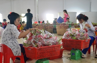 Giảm phụ thuộc, 
tránh rủi ro