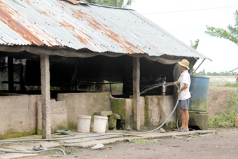 Hiệu quả nhưng khó tránh rủi ro