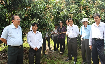 Chủ tịch UBND thành phố Lê Hùng Dũng khảo sát
tình hình thực hiện chỉ tiêu kinh tế - xã hội huyện Thới Lai