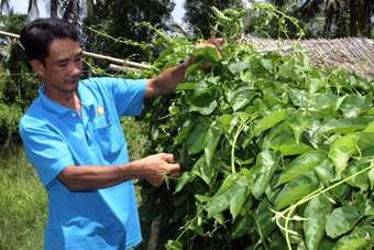 BỨT PHÁ LÀM GIÀU