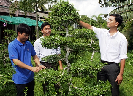 THANH NIÊN MIỀN TÂY <br>
BỨT PHÁ LÀM GIÀU