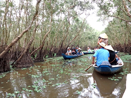 Rừng tràm Trà Sư mùa nước nổi