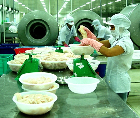 Thời cơ đã “chín muồi”