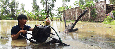 CÀ MAU:
Chỉ đạo tháo nước chống ngập lúa