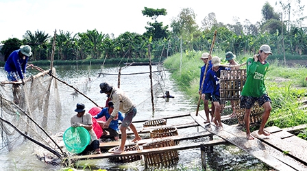 Thời cơ đã “chín muồi”