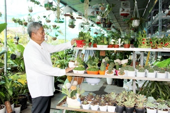 Đem không gian xanh vào nhà phố