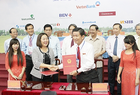 Phát huy hiệu quả đồng vốn cho nông nghiệp, nông thôn