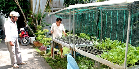 Mở hướng sản xuất 
rau an toàn không cần đất