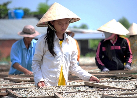 Đón luồng cá Tết