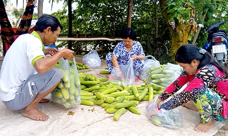 Phát huy thế mạnh để phát triển
