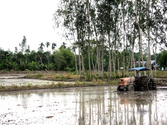 Chủ động cho vụ lúa đông xuân “ăn chắc”