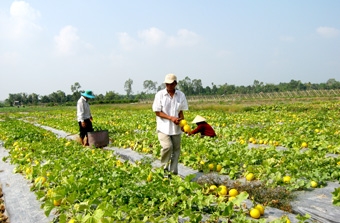 Đẩy mạnh ứng dụng khoa học và công nghệ vào sản xuất