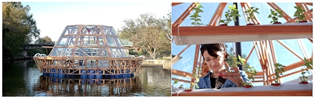 Nhà kính nổi cung cấp lương thực và nước sạch